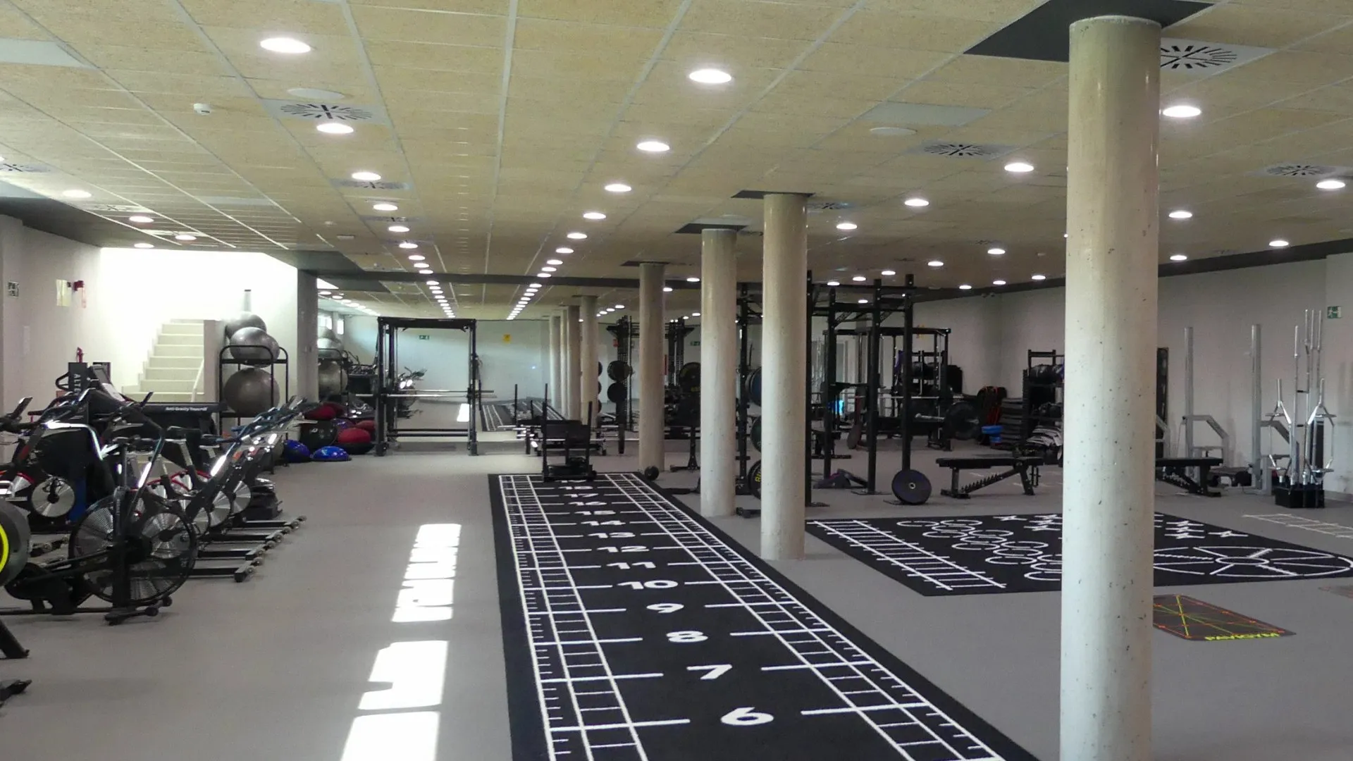 Gimnasio